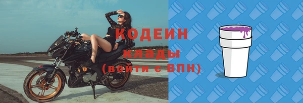 шишки Козельск