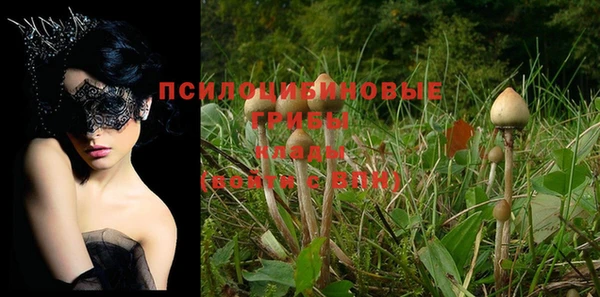 шишки Козельск