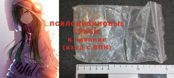 таблы Козловка