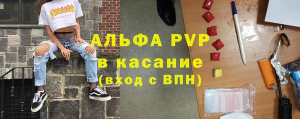 шишки Козельск