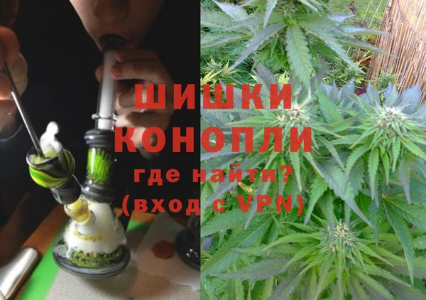 спиды Кодинск