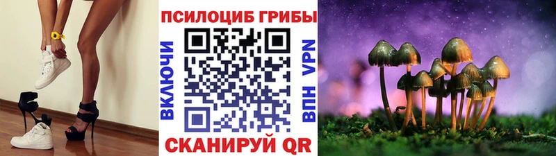 Галлюциногенные грибы прущие грибы  Купить закладки  Осташков 